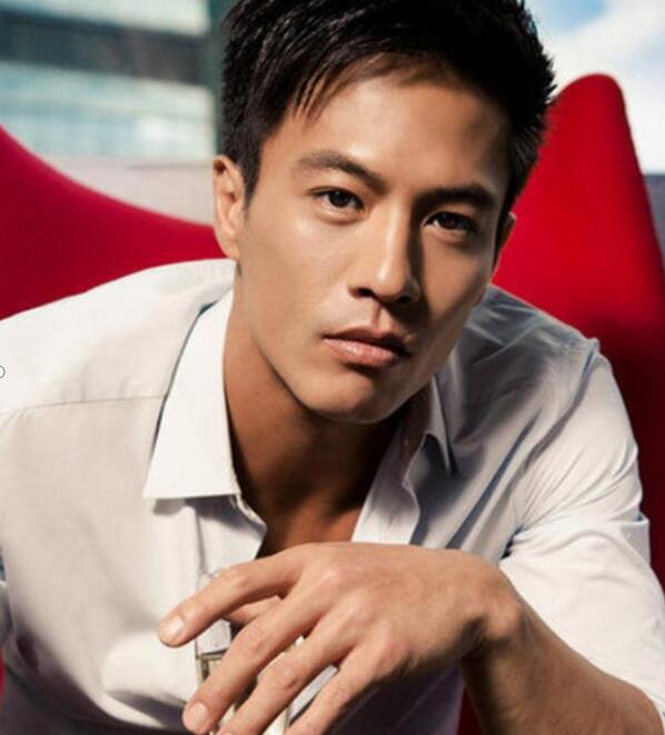 安志杰会武术吗片酬多少(安志杰武术厉害吗)