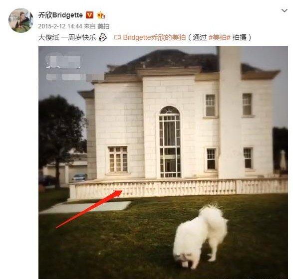 乔欣和杨紫是闺蜜朋友吗(乔欣杨紫好闺蜜)