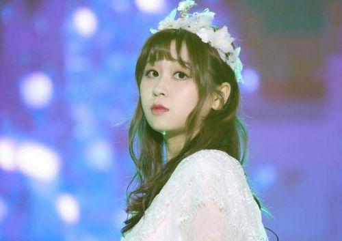 高秋梓是蜜蜂少女队成员吗(高秋梓女团) 高秋梓是蜜蜂少女队成员吗(高秋梓女团)