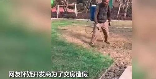 物业回应给草坪喷绿漆是什么原因(小区被喷油漆物业怎么负责) 物业回应给草坪喷绿漆是什么原因(小区被喷油漆物业怎么负责)