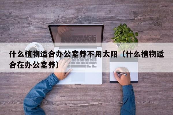 什么植物适合办公室养不用太阳（什么植物适合在办公室养） 