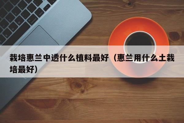 栽培惠兰中透什么植料最好（惠兰用什么土栽培最好） 