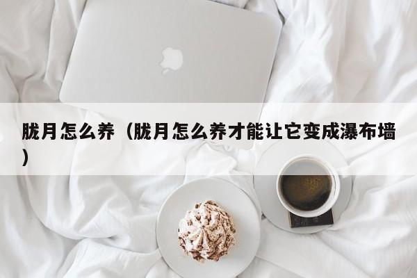 胧月怎么养(胧月怎么养才能让它变成瀑布墙)