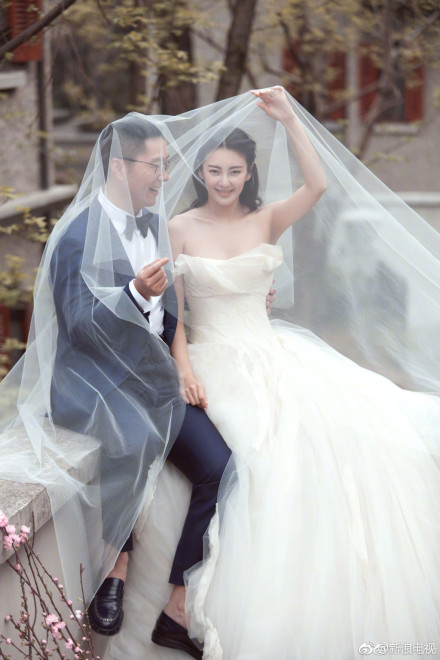 张雨绮袁巴元离婚后双胞胎孩子归谁？离婚原