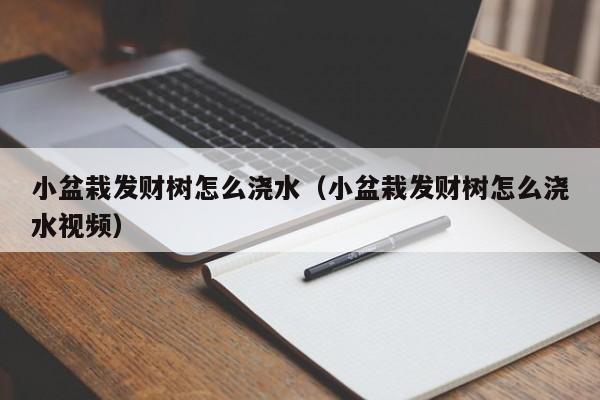 小盆栽发财树怎么浇水（小盆栽发财树怎么浇水视频） 