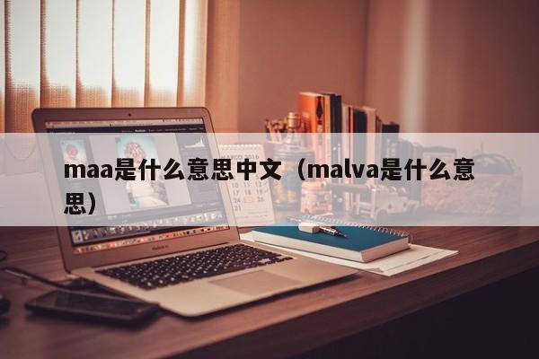 maa是什么意思中文（malva是什么意思） 