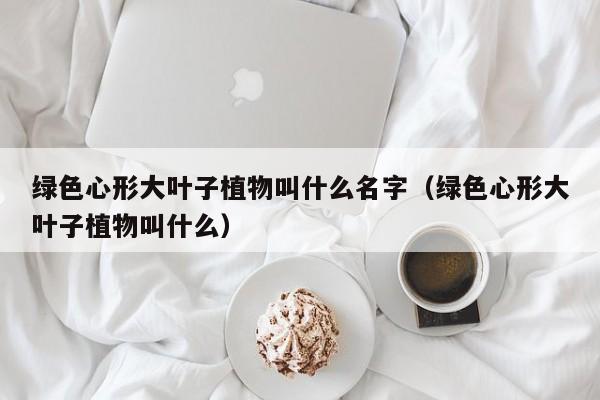 绿色心形大叶子植物叫什么名字（绿色心形大叶子植物叫什么） 