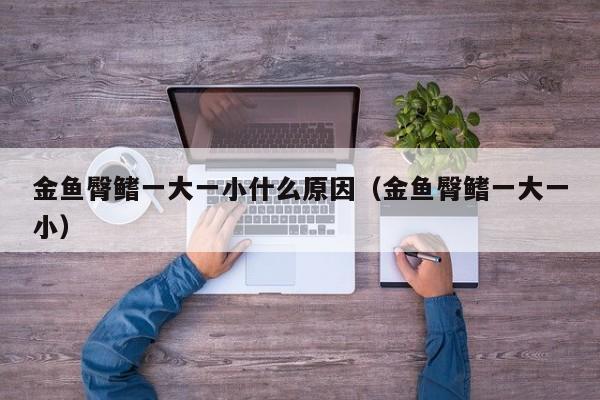金鱼臀鳍一大一小什么原因(金鱼臀鳍一大一小)