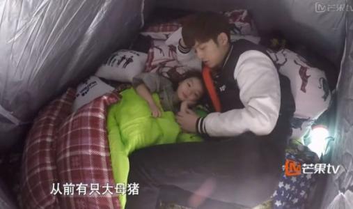 崔雅涵的爸爸妈妈是谁？阿拉蕾和董力不亲热(阿拉蕾和董力什么关系)