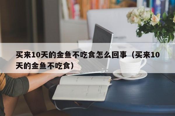 买来10天的金鱼不吃食怎么回事（买来10天的金鱼不吃食） 