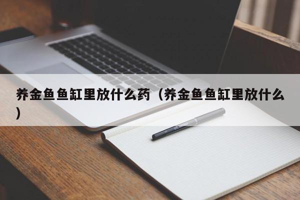 养金鱼鱼缸里放什么药（养金鱼鱼缸里放什么） 