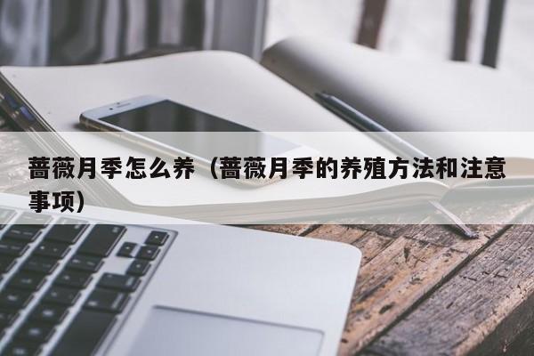蔷薇月季怎么养（蔷薇月季的养殖方法和注意事项） 