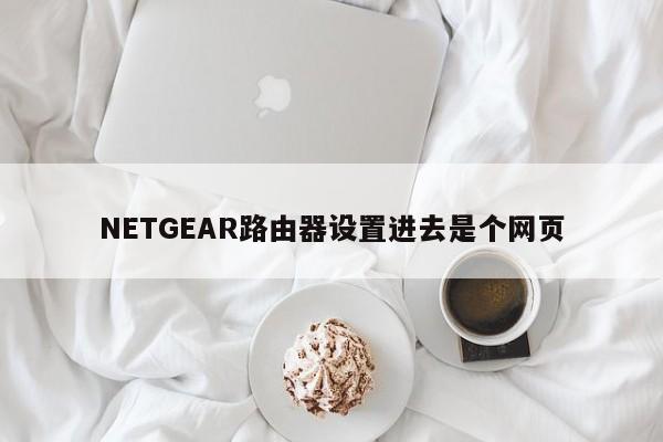 NETGEAR路由器设置进去是个网页