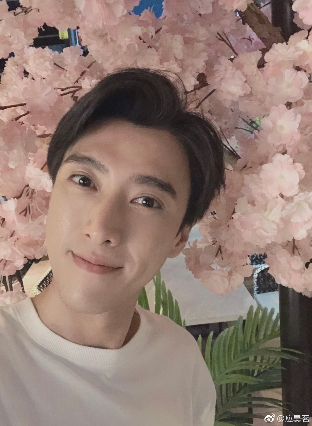 应昊茗为什么叫茗妹(应昊茗的照片)