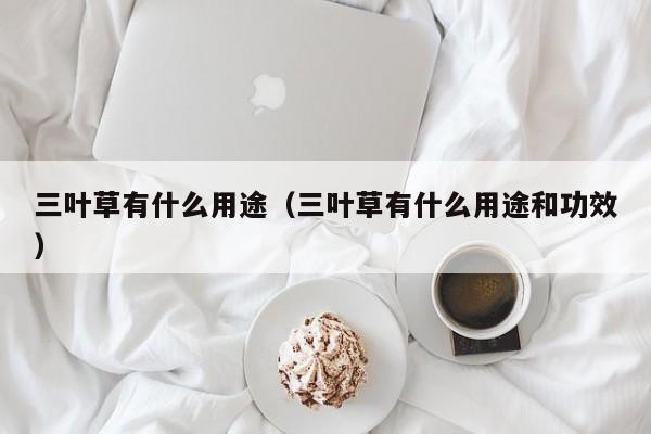 三叶草有什么用途(三叶草有什么用途和功效)