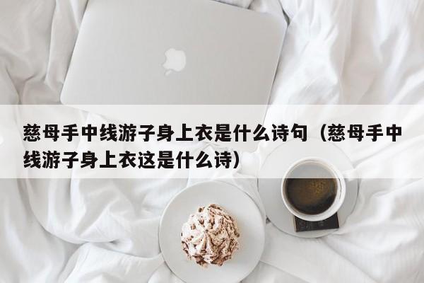 慈母手中线游子身上衣是什么诗句(慈母手中线游子身上衣这是什么诗)