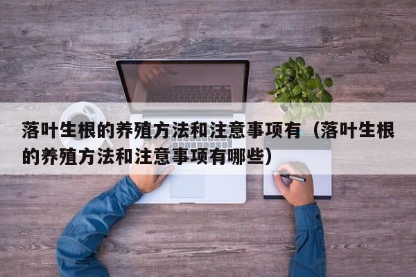 落叶生根的养殖方法和注意事项有（落叶生根的养殖方法和注意事项有哪些） 