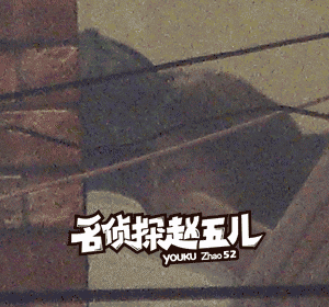 赵五儿赵阳阳个人资料照片(赵五儿百科) 赵五儿赵阳阳个人资料照片(赵五儿百科)