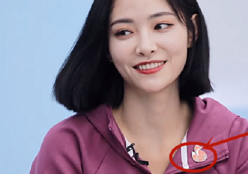 许佳琪为什么叫鲜奶小狐狸、许赞、村花、塞