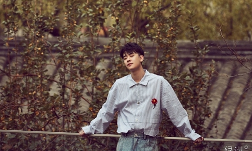 张云雷为什么不火了(张云雷不红了吗) 张云雷为什么不火了(张云雷不红了吗)