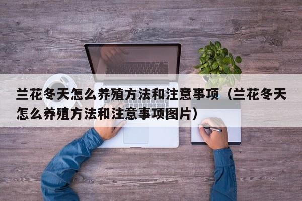 兰花冬天怎么养殖方法和注意事项（兰花冬天怎么养殖方法和注意事项图片） 