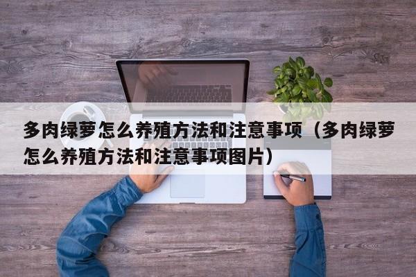 多肉绿萝怎么养殖方法和注意事项（多肉绿萝怎么养殖方法和注意事项图片） 