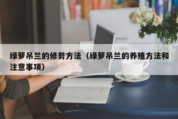 绿萝吊兰的修剪方法(绿萝吊兰的养殖方法和注意事项)