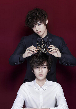 鹿晗粉丝gzd是什么意思？饭圈公主党是什