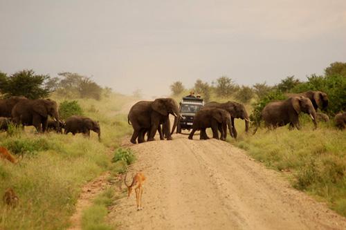 战狼2拍摄地是非洲哪里?战狼2非洲情况是 战狼2拍摄地是非洲哪里?战狼2非洲情况是