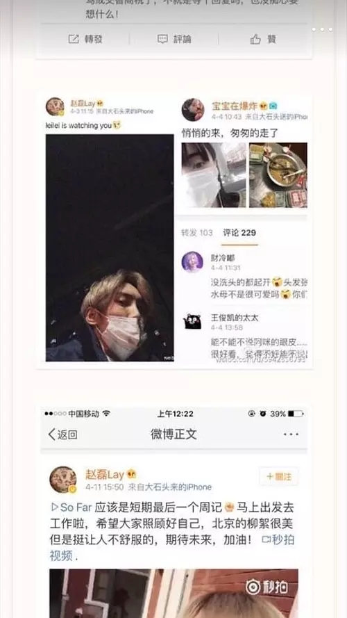 赵磊为什么叫小菠萝、小王子、ray(赵磊像菠萝的照片) 赵磊为什么叫小菠萝、小王子、ray(赵磊像菠萝的照片)