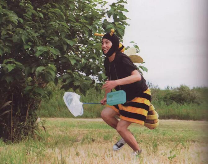 贺来贤人神仙颜值组图(贺来贤人好帅)