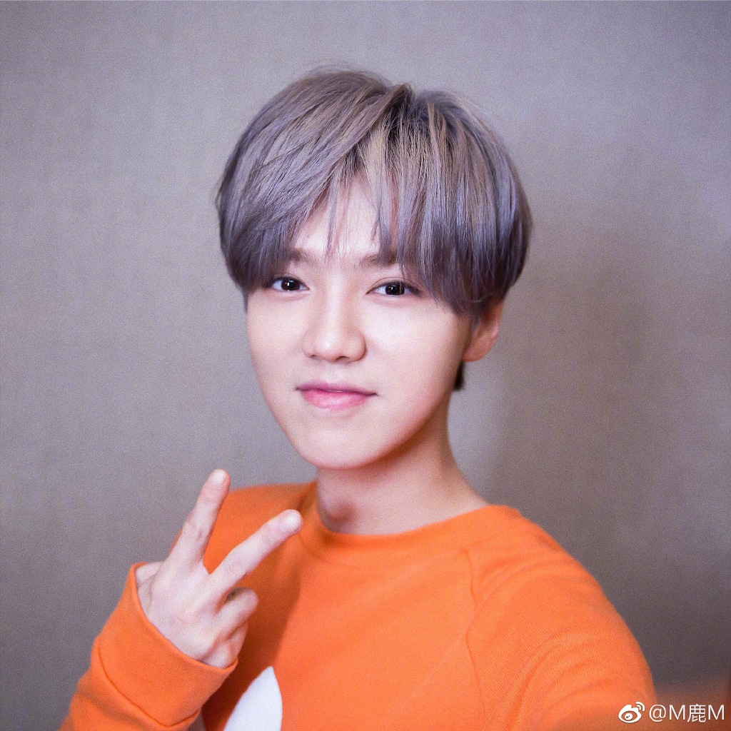 鹿晗粉丝gzd是什么意思?饭圈公主党是什