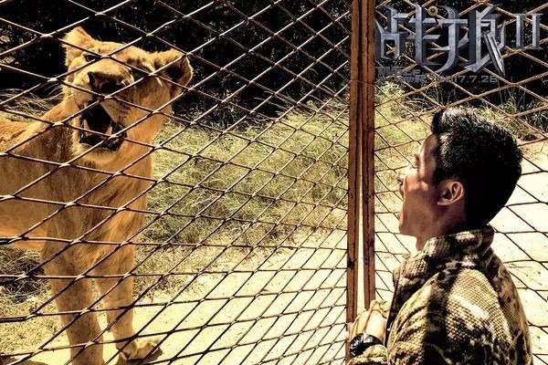 战狼2拍摄地是非洲哪里?战狼2非洲情况是 战狼2拍摄地是非洲哪里?战狼2非洲情况是