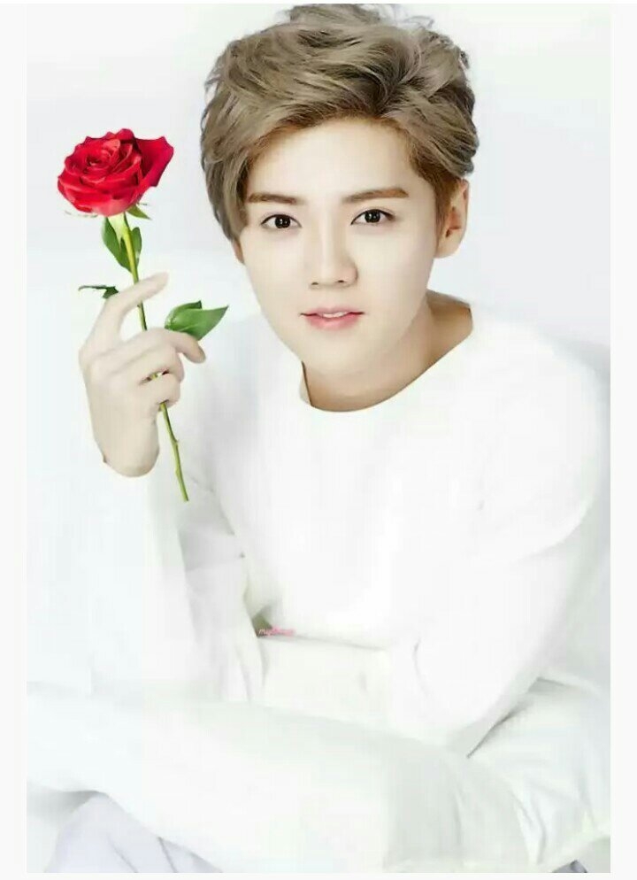 被鹿晗粉丝撕过的明星有谁?鹿晗粉丝为什么