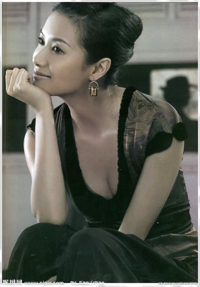 徐静蕾最漂亮的照片图(徐静蕾漂亮吗)