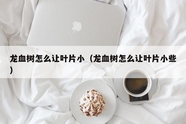 龙血树怎么让叶片小（龙血树怎么让叶片小些） 