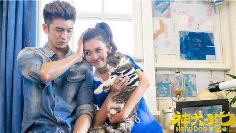 张云龙和王洋结婚照片(张云龙和王洋是什么关系)