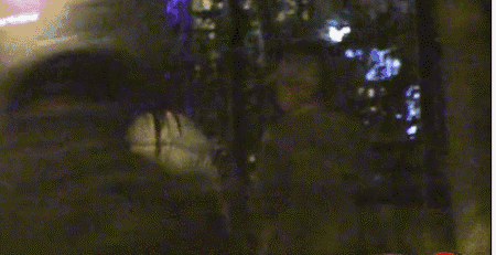 徐峥陶虹婚姻名存实亡真相(徐峥跟陶虹现在感情状况)