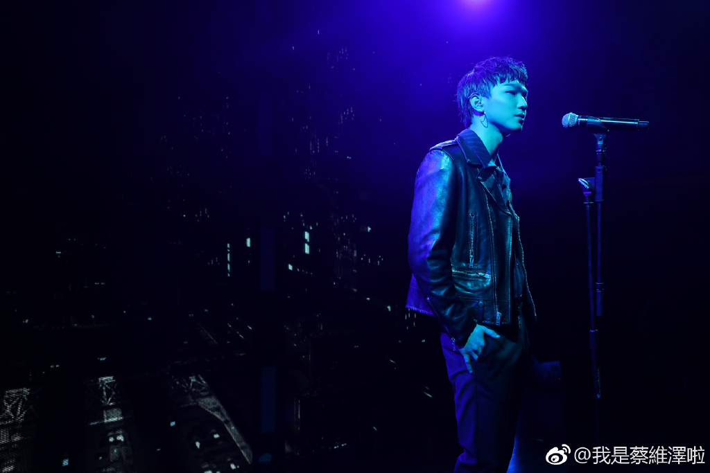 蔡维泽的手怎么了(蔡维泽是谁)