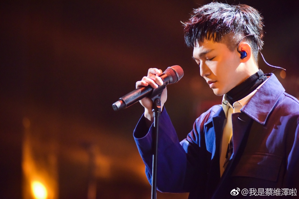 蔡维泽的手怎么了(蔡维泽是谁)