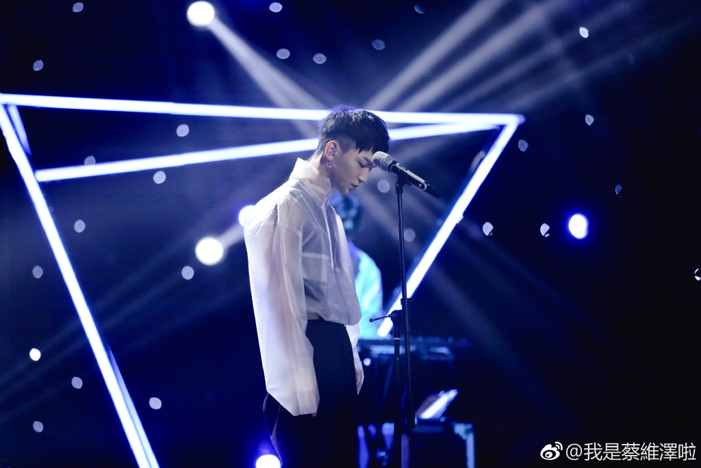 蔡维泽的手怎么了(蔡维泽是谁)