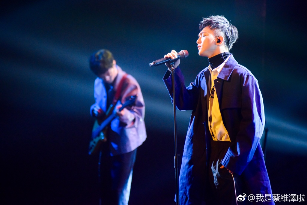 蔡维泽的手怎么了(蔡维泽是谁)