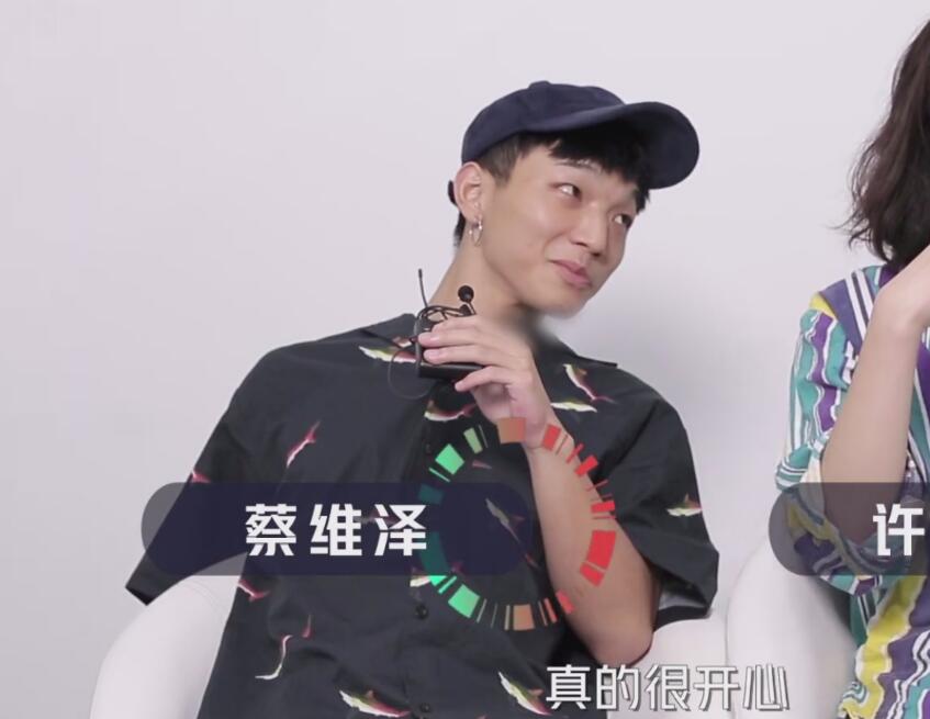 蔡维泽的手怎么了(蔡维泽是谁)