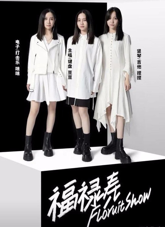 福禄寿乐队杜雪儿走私毒品获刑