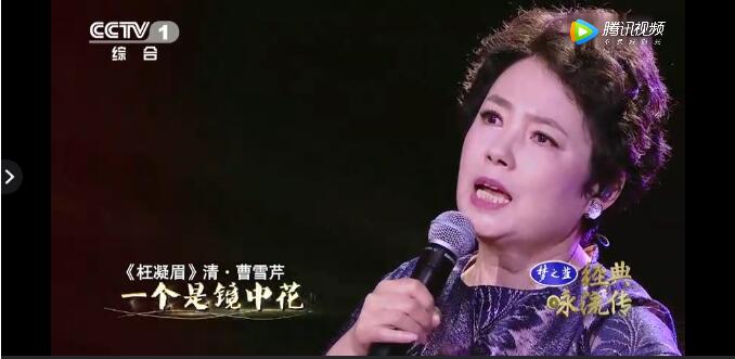 陈力现在的老公是杜有成吗(陈力的丈夫做什么的)