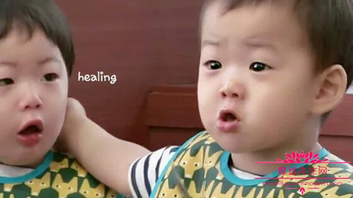 宋民国为什么叫民咕咕?宋民国为什么会在综(宋民国疑惑)