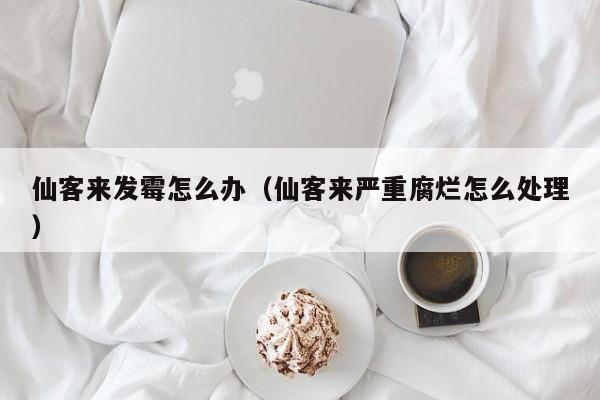 仙客来发霉怎么办（仙客来严重腐烂怎么处理） 