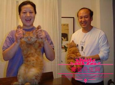 蔡明为什么说华少嘴是租来得 蔡明为什么说华少嘴是租来得