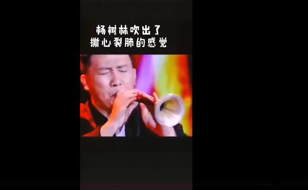 唢呐为什么被称为音乐流氓、乐器流氓(为什么唢呐被称为乐器中的流氓)