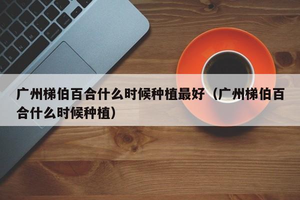 广州梯伯百合什么时候种植最好（广州梯伯百合什么时候种植） 